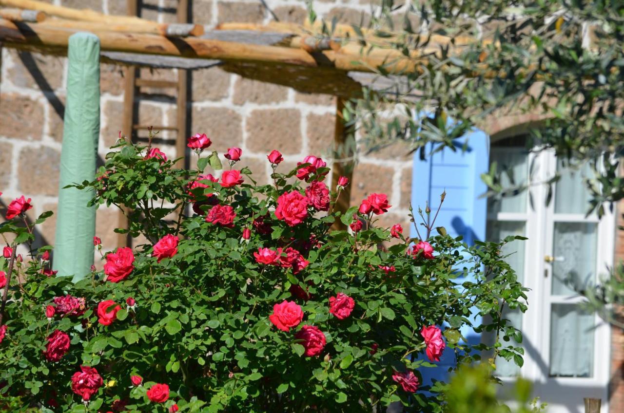 Podere Delle Rose Torre San Severo Exterior foto