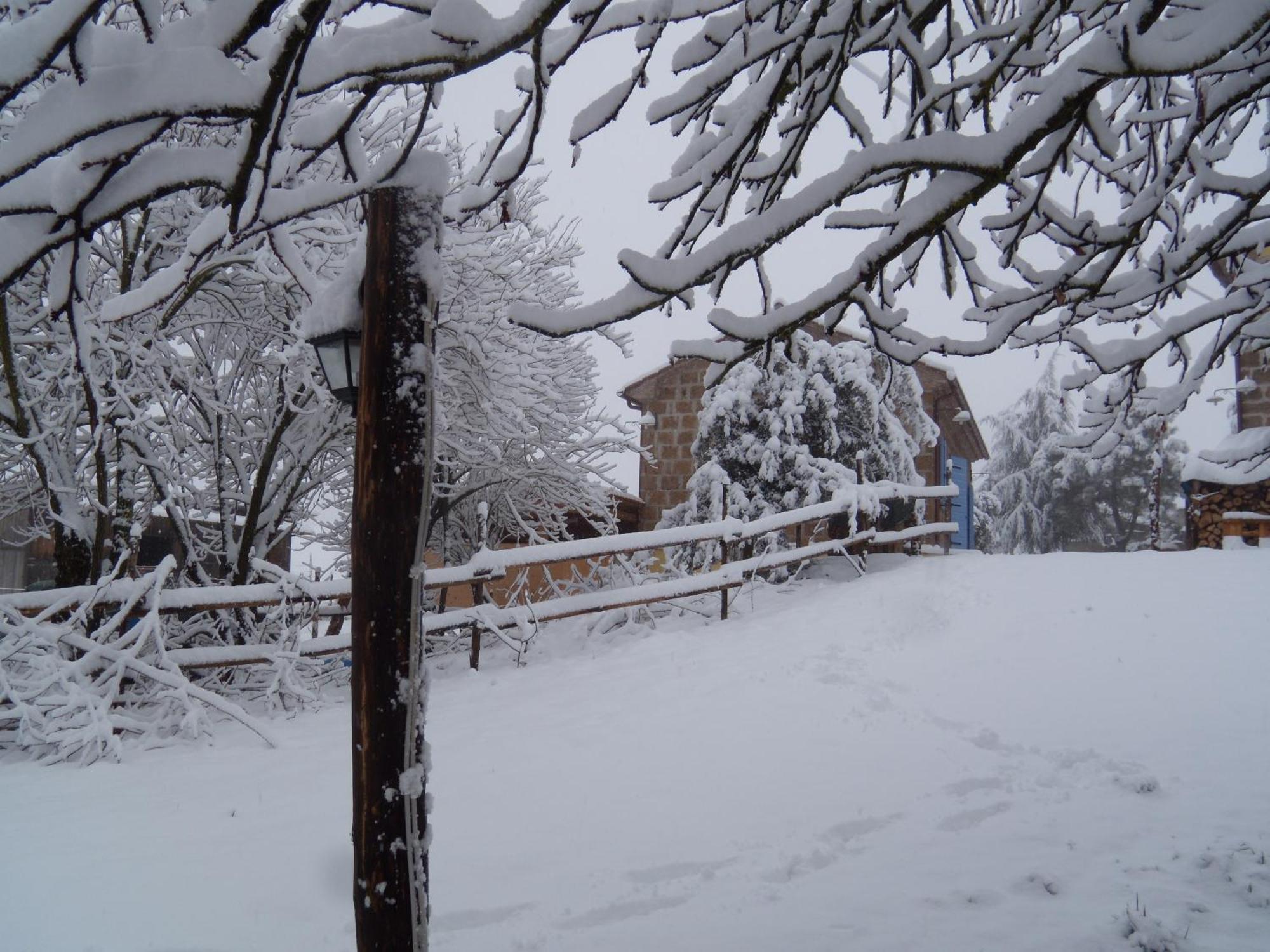Podere Delle Rose Torre San Severo Exterior foto