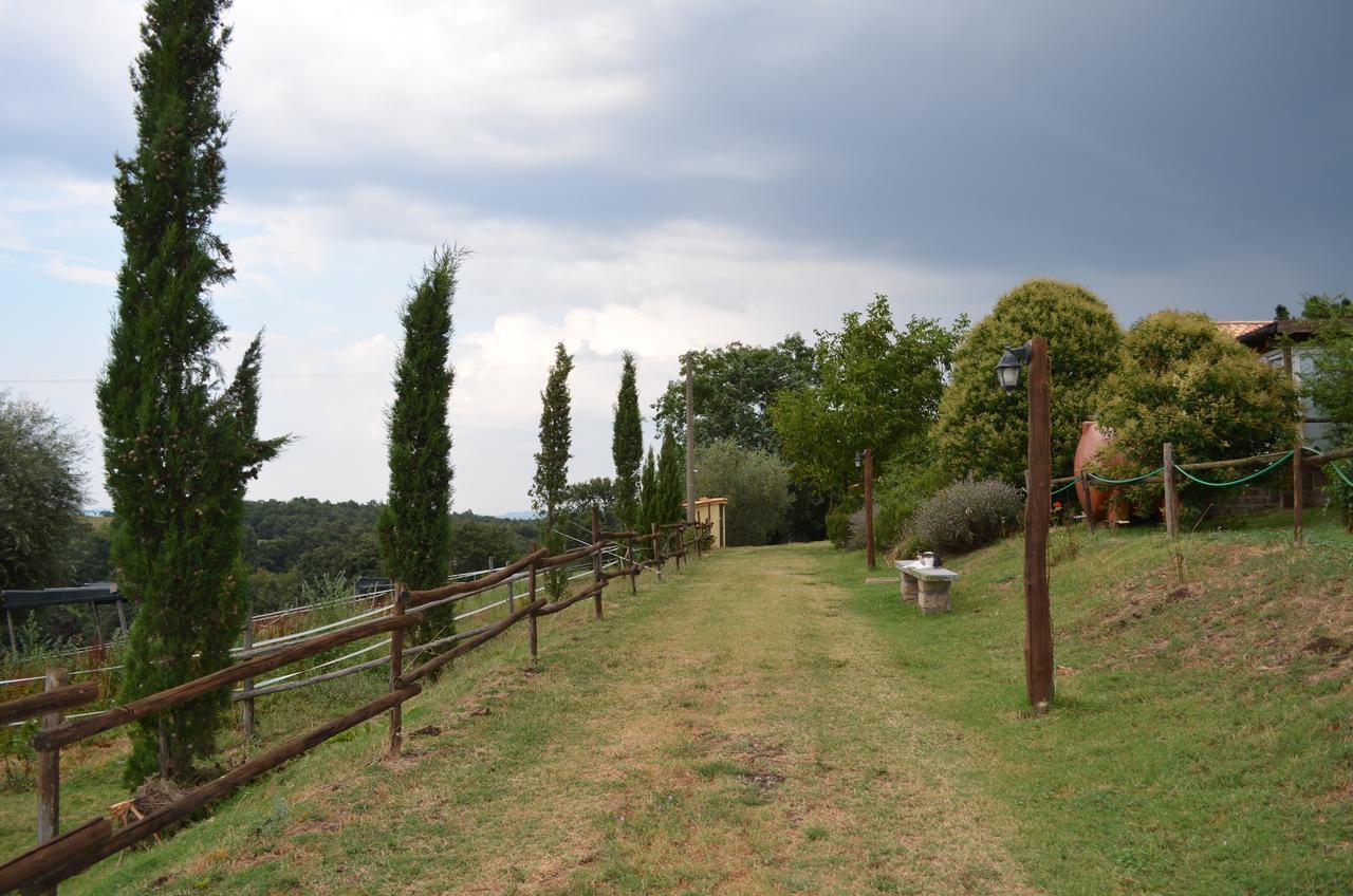Podere Delle Rose Torre San Severo Exterior foto
